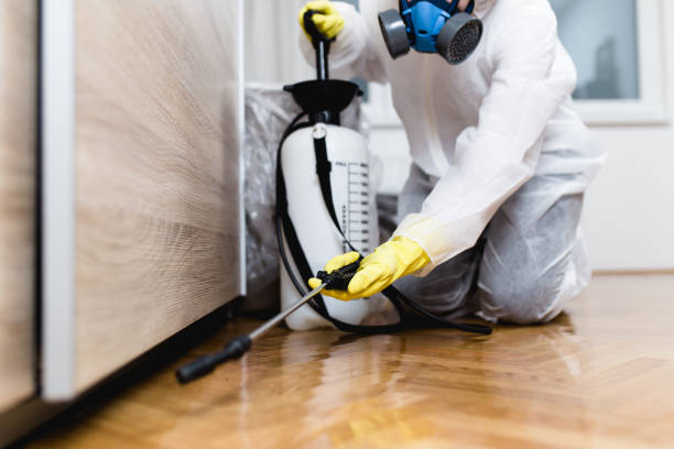 Best Pest Prevention Services  in Mound, MN