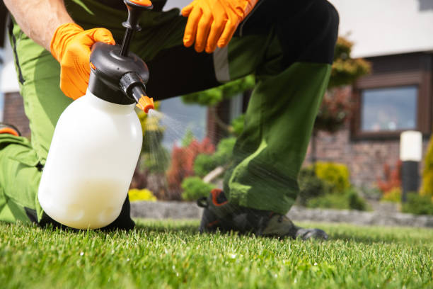 Best Pest Control Near Me in Mound, MN