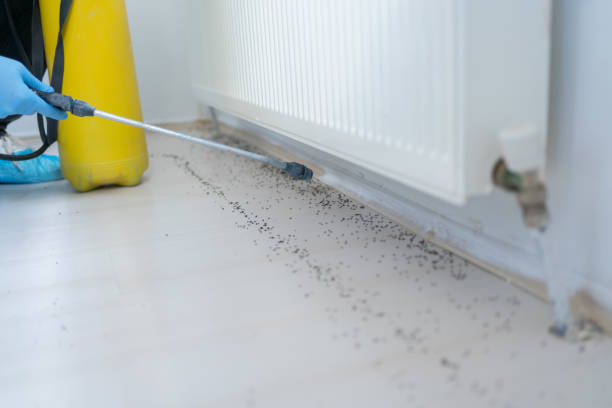 Professional Pest Control in Mound, MN