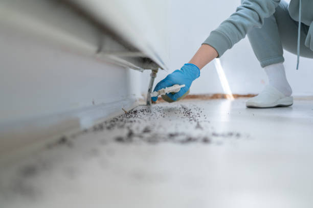 Best Commercial Pest Control Services  in Mound, MN